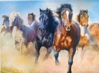 Opakowanie Puzzle 2000 Galopujące stado koni