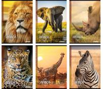 Opakowanie Zeszyt A5 w linie 54 kartki Africa 10 sztuk