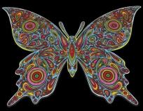 Opakowanie Kolorowanka Welwetowa 47x35 Motyl