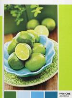 Opakowanie Puzzle 1000 Pantone Lime Punch