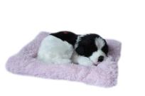 Opakowanie Śpiący piesek na poduszce - biało czarny