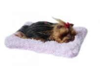 Opakowanie Śpiący piesek na poduszce - York