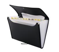 Opakowanie Teczka A4 12 przegródek czarna D.RECT