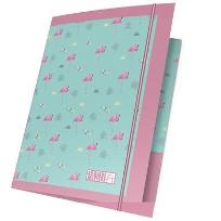 Opakowanie Teczka z gumką A4 PPLF19-109 PASO