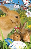 Opakowanie Wielkanocne króliczki minikartka 3D