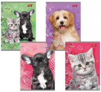 Opakowanie Zeszyt A5/32= linia podwójna dwukolorowa laminowany My Little Friend