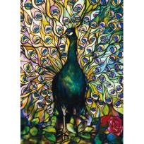 Opakowanie Karnet B6 z kopertą Peacock