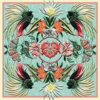 Opakowanie Karnet kwadrat z kopertą Birds of the Amazon