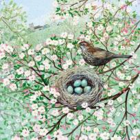 Opakowanie Karnet kwadrat z kopertą Blossom and Blackbird