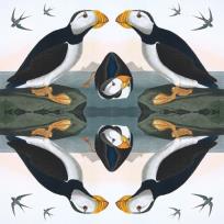 Opakowanie Karnet kwadrat z kopertą Horned Puffin