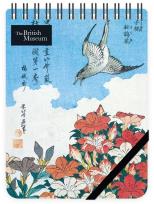 Opakowanie Kołonotes ozdobny Lesser Cuckoo