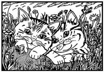 Opakowanie Kolorowanka Welwetowa 29,7x21 Koty