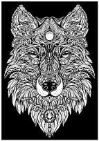 Opakowanie Kolorowanka Welwetowa 29,7x21 Lupus