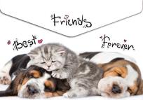 Opakowanie Koperta A4 na napę z nadrukiem Animals