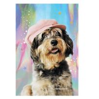 Opakowanie Notes Rachael Hale RLF-3680 PASO