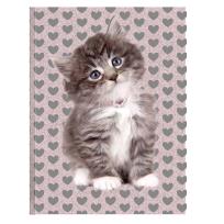 Opakowanie Pamiętnik Rachael Hale RLD-3660 PASO