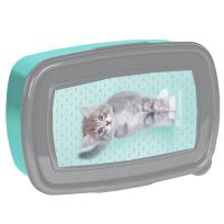 Opakowanie Śniadaniówka Rachael Hale RLC-3022 PASO