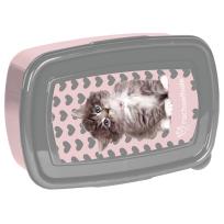 Opakowanie Śniadaniówka Rachael Hale RLD-3022 PASO