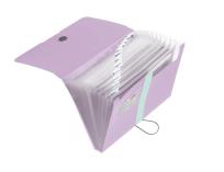 Opakowanie Teczka A4 PP rozkładana 12 części pastell