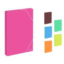 Opakowanie Teczka Box A4 na gumkę School AMBAR