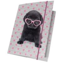 Opakowanie Teczka z gumką A4 Studio Pets 15 sztuk