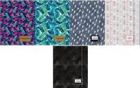 Opakowanie Teczka z gumką HD-369 Head 3 ASTRA