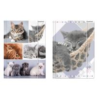 Opakowanie Teczka z gumką  A4 Kotki 10 sztuk