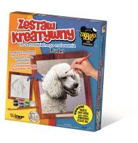 Opakowanie Zestaw Kreatywny do malowania - Pudel