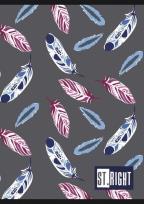 Opakowanie Zeszyt A5 St.Right 60 kartek w kratkę mix4 10 sztuk