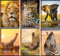 Opakowanie Zeszyt A5 w linie 54 kartki Street Africa 10 sztuk mix