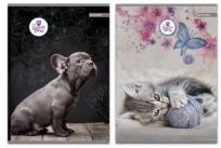 Opakowanie Zeszyt A5 w linie 60 kartek Sweet Pets 5 sztuk