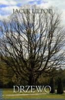 Okładka książki Drzewo