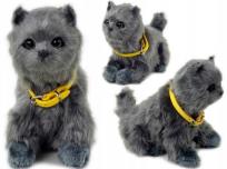 Opakowanie Interaktywny Kotek