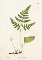 Opakowanie Karnet ST199 B6 + koperta Zachyłka