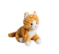 Opakowanie Kot rudy 20cm MOLLI TOYS