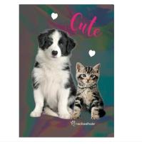 Opakowanie Notes A5 Rachel Hale holograficzny RLE-3680 PASO