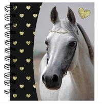 Opakowanie Notes spiralny Horse PP19H-3631 PASO
