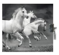 Opakowanie Pamiętnik z kłódką Horse PP19HS-3640 PASO