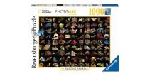 Opakowanie Puzzle 1000 99 zwierząt