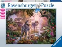 Opakowanie Puzzzle 1000 Wilki w lecie