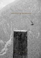 Okładka książki Sentencje delfickie. Książka do pisania