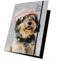 Opakowanie Teczka z gumką A4 Rachel Hale RLF-109 PASO