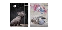 Opakowanie Teczka z gumką A4 The sweet pets 2 wzory
