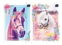 Opakowanie Teczka z gumką A4 + LUX UV Pony (10szt)