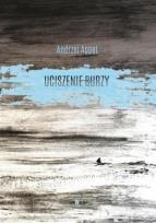 Okładka książki Uciszenie burzy