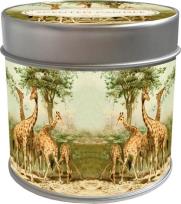 Opakowanie Zapachowa świeczka 118 - żyrafy - zapach pomarańcz