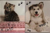 Opakowanie Zeszyt A4 Rachel Hale 54 kartki w kratkę 10 sztuk