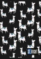 Opakowanie Zeszyt A5 St.Right 32 kartek w kratkę 15 sztuk