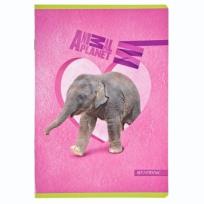 Opakowanie Zeszyt A5/16K =  Animal Planet Cute