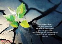 Opakowanie Kartka - Zewsząd uciskani, nie jesteśmy jednak...